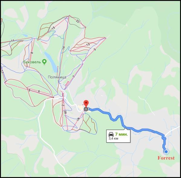 Forrest Hotel Bukovel Bagian luar foto